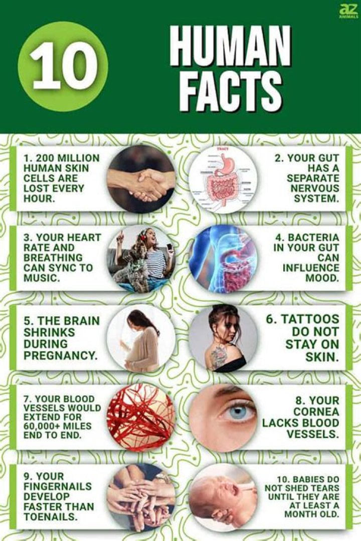 10 Fascinating Facts & Insights