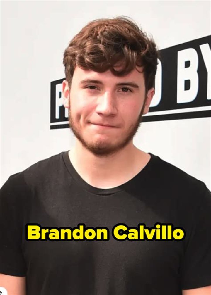 Brandon Calvillo's Net Worth Revealed