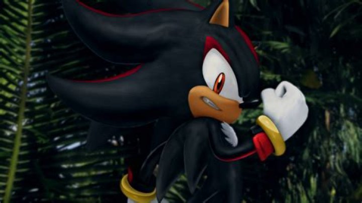 Discover Shadow The Hedgehog's True Love