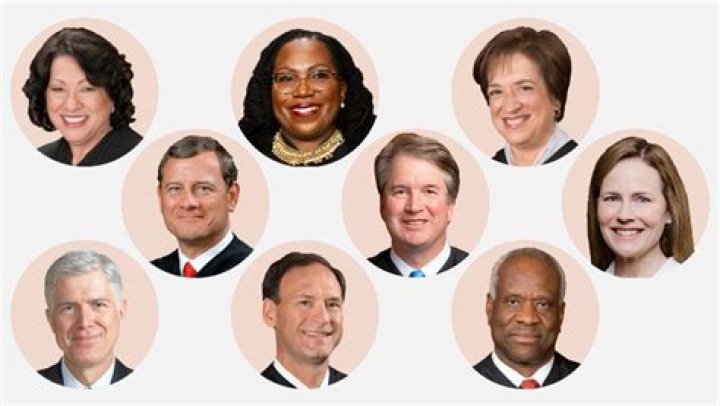Exploring Liberal Leanings And Surprising Truths