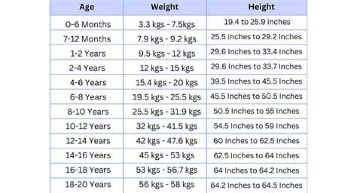 Height, Weight, And Physical Prowess Unveiled