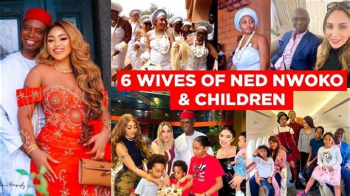 Unveiling The Enigmatic Wealth Of Ned Nwoko