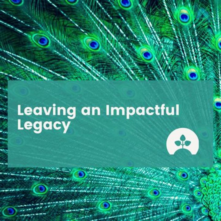 Unveiling The Impactful Legacy Of Danae Hays In Education