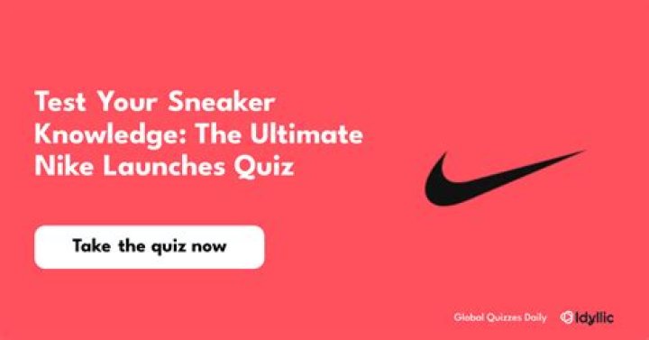 Your Gateway To Sneaker Knowledge